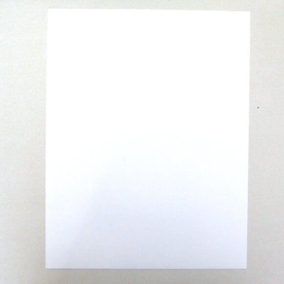 “FLOWERING BRANCHES” 11” x 14” TREE SIGNED FINE ART PRINT BY JAY LONG - Picture 8 of 8